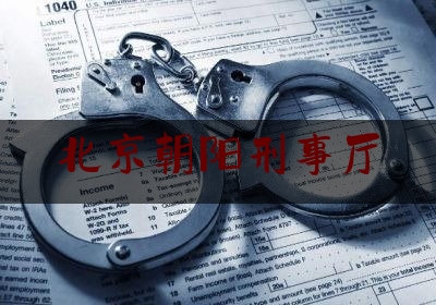 北京朝阳刑事厅（北京市朝阳区刑事案件）