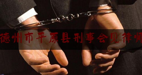 德州市平原县刑事会见律师（山东德州刑事律师）