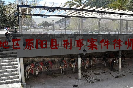 新乡地区原阳县刑事案件律师排行