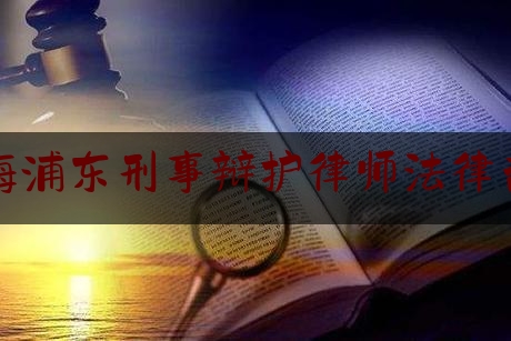 上海浦东刑事辩护律师法律咨询（上海浦东律师所）