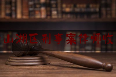 [热门]专业速递:南昌青山湖区刑事案律师收费标准,豫章书院事件二审