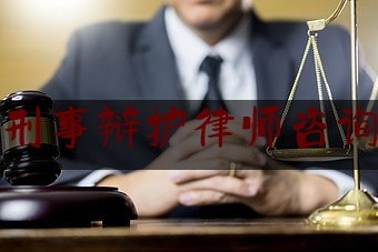 天津刑事辩护律师咨询服务