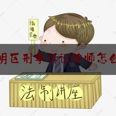 南明区刑事诉讼律师怎么样