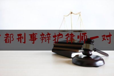 首都刑事辩护律师一对一（北京刑事辩护律师答疑）