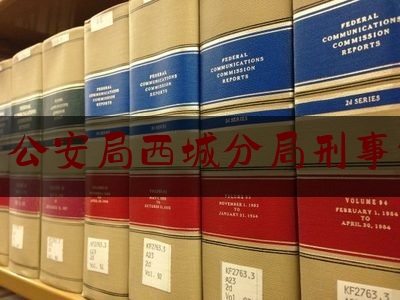 北京市公安局西城分局刑事侦查科（北京市公安局西城分局刑事侦查科科长）