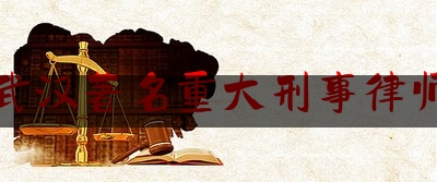 武汉著名重大刑事律师（武汉刑事案律师所排名）