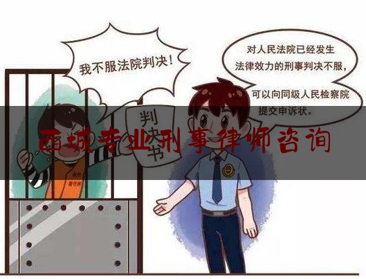 西城专业刑事律师咨询