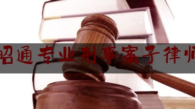 昭通专业刑事案子律师（盈科律师事务所葛磊）