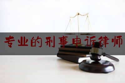 专业的刑事申诉律师（刑事申诉案律师）