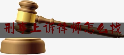 刑事上诉律师怎么找（上诉刑事案件律师）