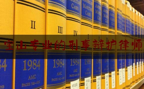 宝山专业的刑事辩护律师（上海宝山律师排行榜）