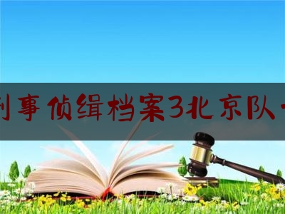 刑事侦缉档案3北京队长（刑事侦缉档案3案子）