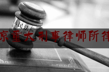 北京重大刑事律师所律师（北京十大刑事知名律师）