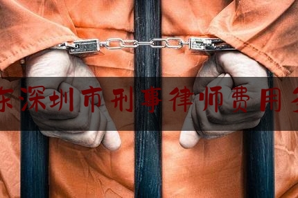 广东深圳市刑事律师费用多少（深圳刑事诉讼律师）
