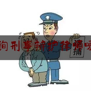 法律咨询刑事辩护律师哪个擅长（刑事案辩护律师咨询）