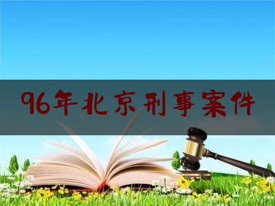 96年北京刑事案件（北京96年抢劫案）