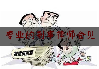 专业的刑事律师会见（刑事案件律师会见的工作内容有哪些）