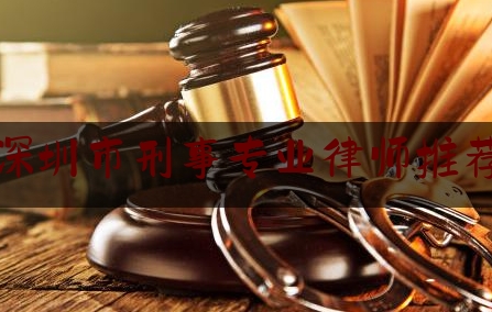 深圳市刑事专业律师推荐