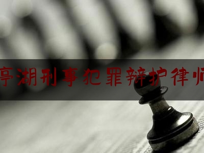 亭湖刑事犯罪辩护律师（建湖刑事律师）