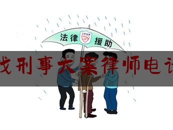 郴州找刑事大案律师电话多少（郴州市著名刑事律师）