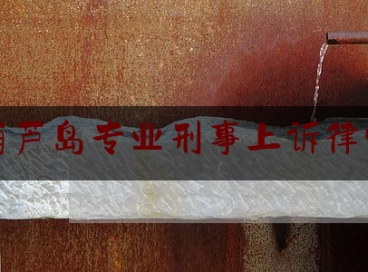 今日资深发布:葫芦岛专业刑事上诉律师,2020年刑事检察工作要点