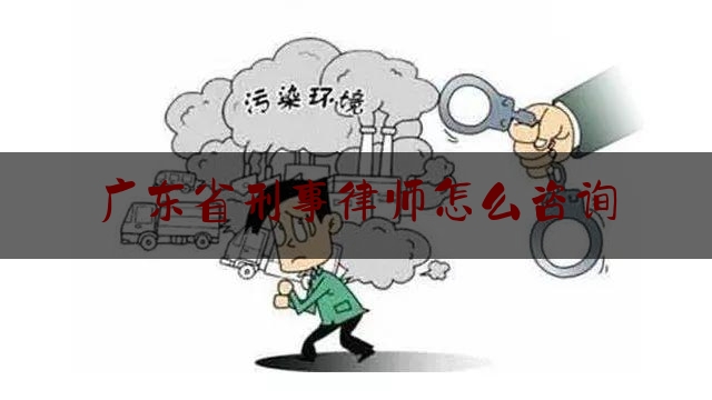 广东省刑事律师怎么咨询（广东刑事律师事务所）