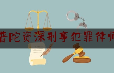 普陀资深刑事犯罪律师（普陀区最好的律师是谁）