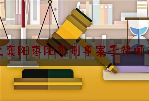 干货:湖北襄阳枣阳市刑事案子律师咨询,检察院让补充证据