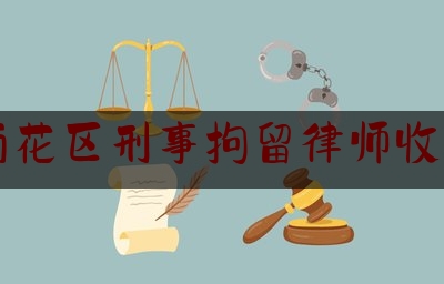 雨花区刑事拘留律师收费（刑事拘留律师需要多少钱）