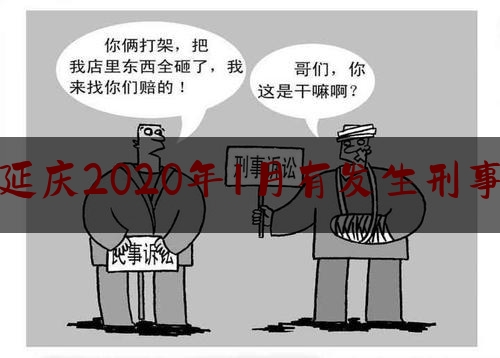 北京延庆2020年1月有发生刑事案件（北京延庆最新案件）
