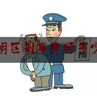 南明区刑事律师多少钱