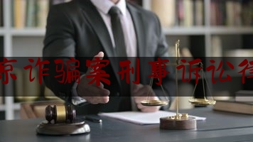 北京诈骗案刑事诉讼律师（北京诈骗案辩护律师）