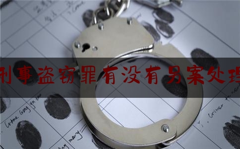 刑事盗窃罪有没有另案处理（刑事案件盗窃罪）