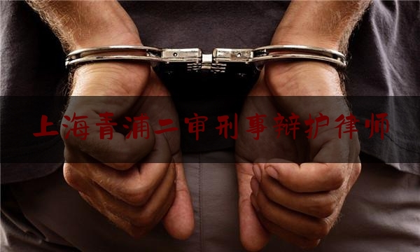 上海青浦二审刑事辩护律师