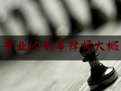 北京市专业的刑事律师大概多少钱（北京刑事律师收费一览表）