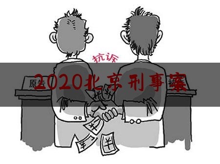 2020北京刑事案（北京刑事大案）