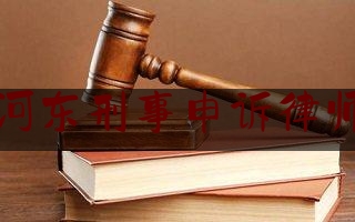 河东刑事申诉律师（临沂刑事案件申诉律师）