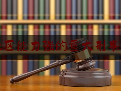 实事专业资讯:上海地区能力强的重大刑事案律师,邢宝京个人资料