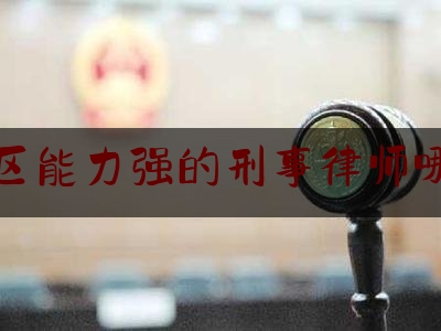 福田区能力强的刑事律师哪里找