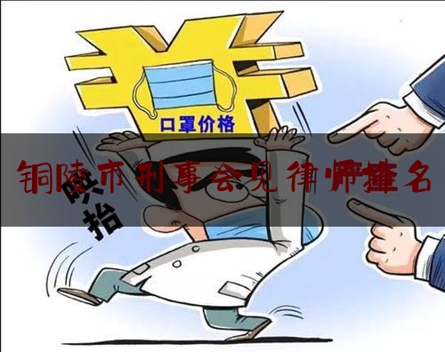 铜陵市刑事会见律师排名