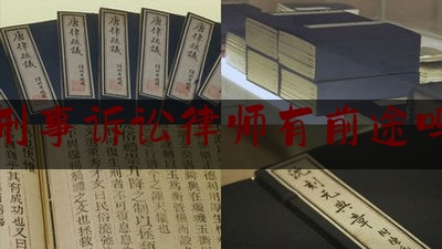 刑事诉讼律师有前途吗（刑事诉讼阶段律师费多少钱）