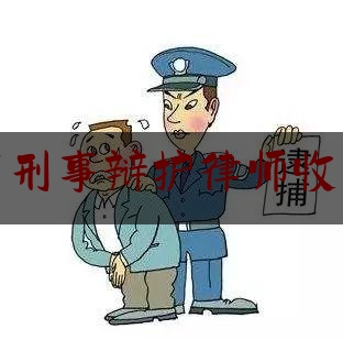 安顺市刑事辩护律师收费标准（怀柔区刑事律师辩护费用）