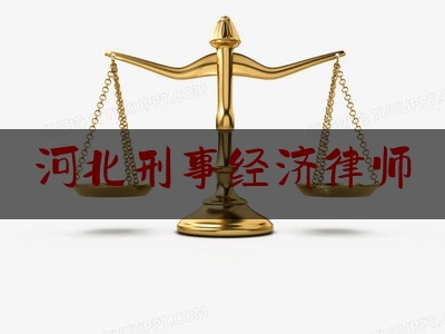 河北刑事经济律师（河北省刑事律师）