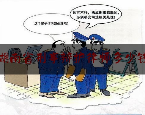湖南省刑事辩护律师多少钱（湖南最好的刑事辩护律师）