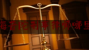 上海普陀刑事律师哪里找（上海普陀律师事务所刑事探视）