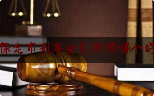 保定市刑事会见律师哪个好（保定刑辩律师）