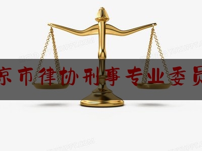 北京市律协刑事专业委员会（北京市律师协会会长是谁）