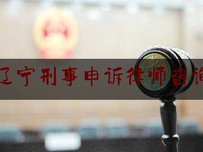 辽宁刑事申诉律师咨询（辽宁刑事辩护律师）