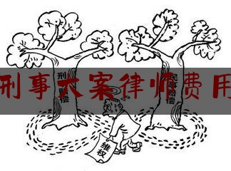 湖南刑事大案律师费用标准（湖南刑事案件律师收费标准）