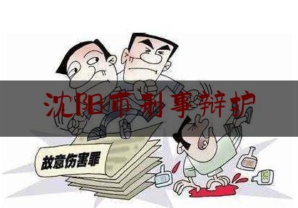 沈阳市刑事辩护（沈阳刑事案件辩护律师）